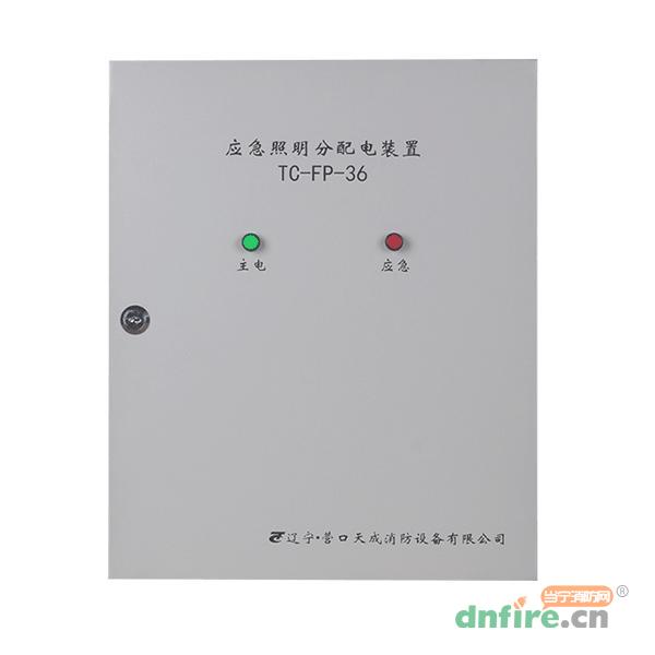 TC-FP-36應(yīng)急照明分配電裝置