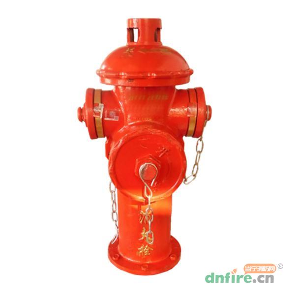 JD-FE101室外消火栓 物聯(lián)網(wǎng)消火栓,上海金盾,消防物聯(lián)網(wǎng)