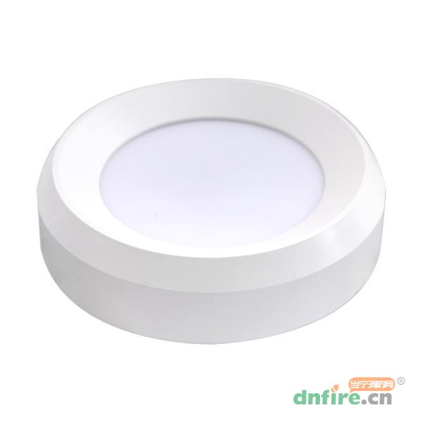 GD-ZFJC-E3W-609X3集中電源集中控制型消防應(yīng)急照明燈具