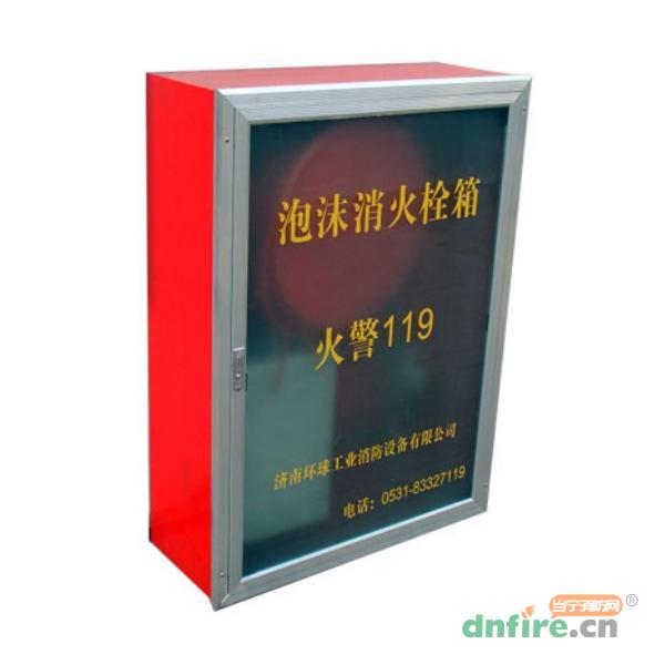 PSG30水成膜泡沫消火栓箱,環(huán)球消防,消火栓箱