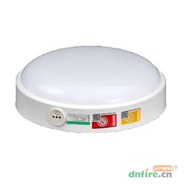 WD-5901應(yīng)急吸頂燈