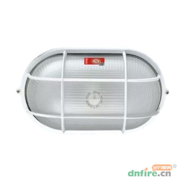 N-ZLZD-E20W1924橢圓三防燈應急照明燈具,勞士,消防應急照明燈