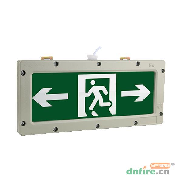 ZS-BLJC-1LREI1W-J710防爆標(biāo)志燈,中智盛安,消防應(yīng)急疏散指示燈