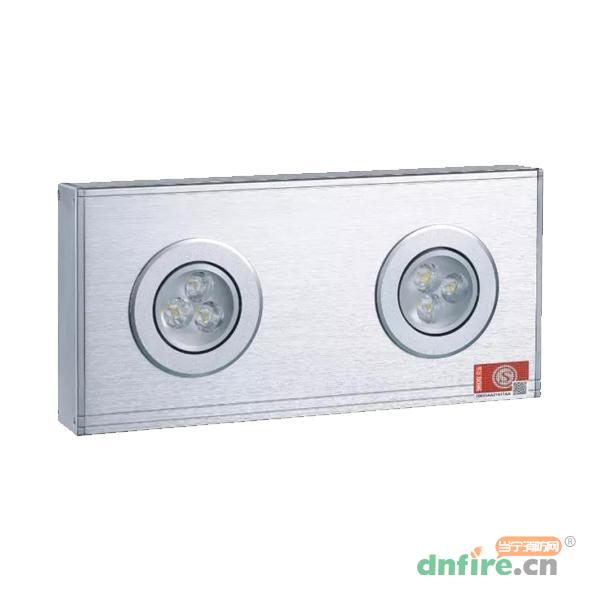 Z-ZFZD-E5W-Z18-S5消防應(yīng)急標(biāo)志燈具