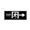 Z-BLZD-2LROEI3W-Z18-B5消防應(yīng)急標(biāo)志燈具,,