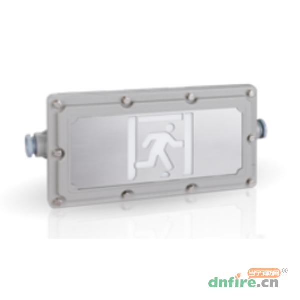 RX-BLJC-1LRXEI1W-1621集中電源消防應(yīng)急標(biāo)志燈具,榮夏科技,消防應(yīng)急疏散指示燈