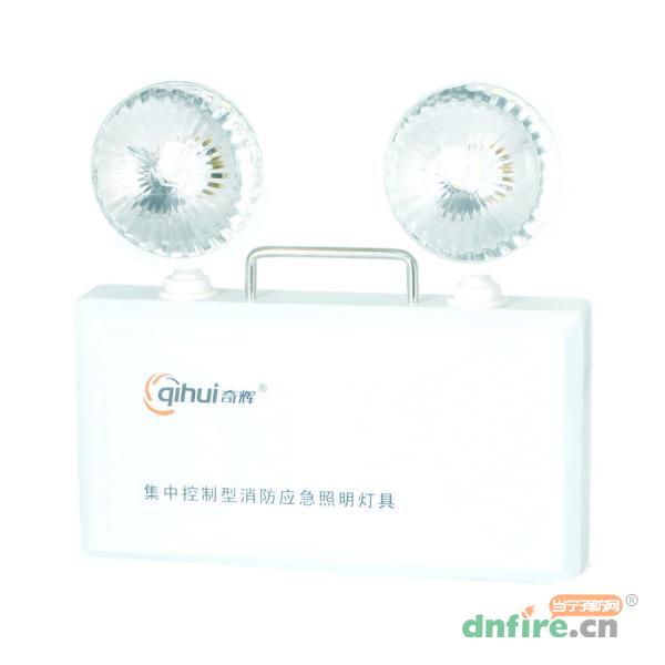 QH-ZFZC-E2W集中控制型消防應(yīng)急照明燈具,奇輝,消防應(yīng)急照明燈