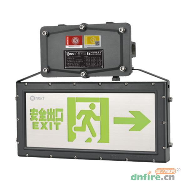 N-BLJC-2LROEⅠ0.5WZGB集電集控IP65雙面防水防爆標志燈N8472-A,拿斯特,消防應(yīng)急疏散指示燈