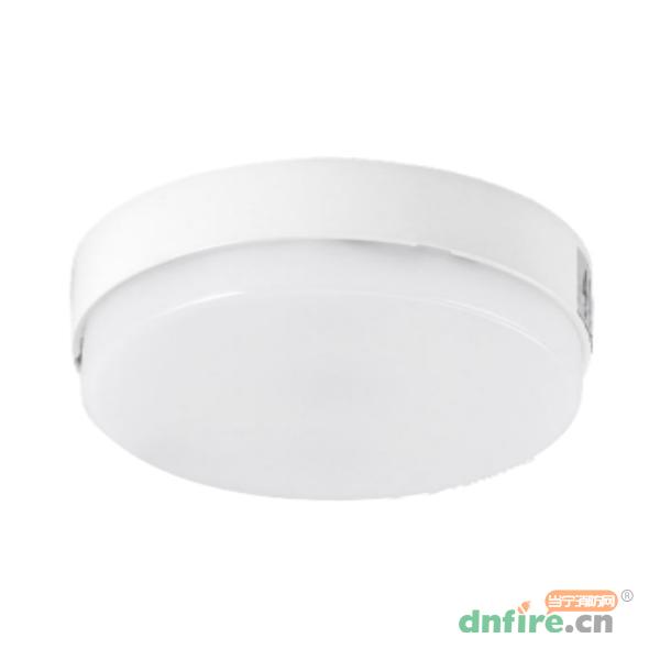 Z-ZFJC-E5W-1217集中電源集中控制型消防應(yīng)急照明燈具 100吸頂燈
