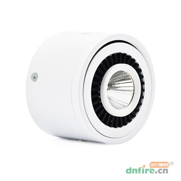 S1707藝光智能消防集中電源集中控制型應(yīng)急照明燈,藝光,消防應(yīng)急照明燈