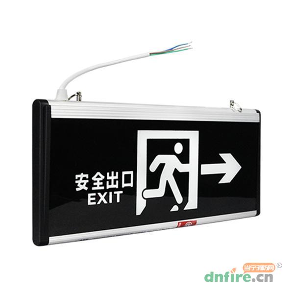 藝光安全出口指示燈-2D1,藝光,消防應(yīng)急疏散指示燈