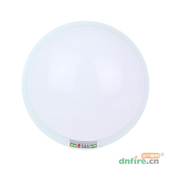 YG-ZFZD-E1W-1608藝光消防應(yīng)急吸頂燈-1608