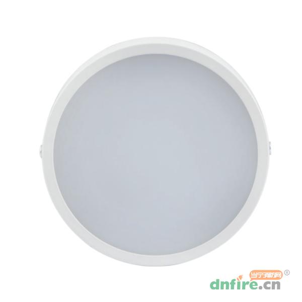 SE-ZFJC-E8W-EL5225吸頂式消防應(yīng)急照明燈具(A型),西門(mén)子,消防應(yīng)急照明燈