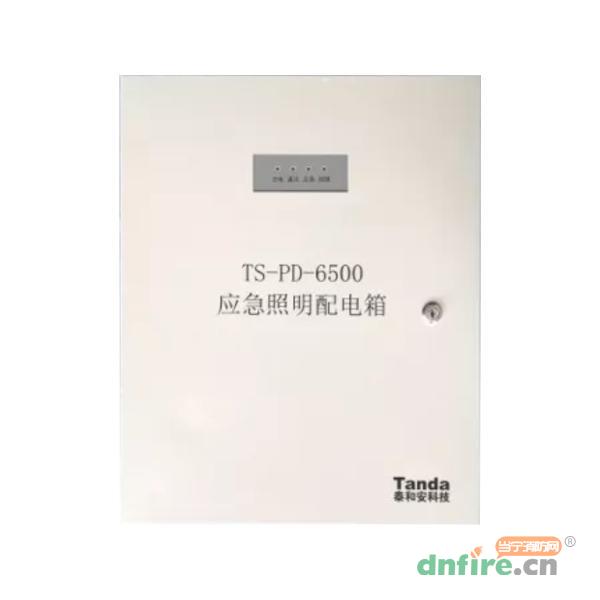 TS-PD-6500應(yīng)急照明配電箱,泰和安,應(yīng)急照明配電箱