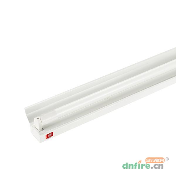 Z-ZLZD-E20W-0612單罩線(xiàn)性應(yīng)急支架LG0612,樂(lè)工光電,消防應(yīng)急照明燈