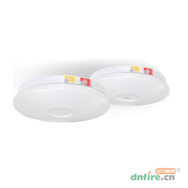 SS-ZFJC-E12W-634集中電源集中控制型消防應(yīng)急照明燈具,盛世名門,消防應(yīng)急照明燈