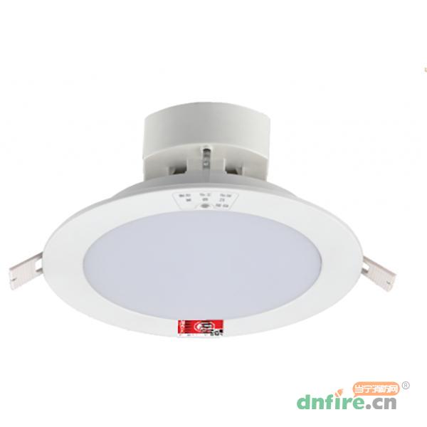N-ZLJD-E15W9015集中電源型6寸嵌入式天花筒燈M9015 常亮 強(qiáng)啟