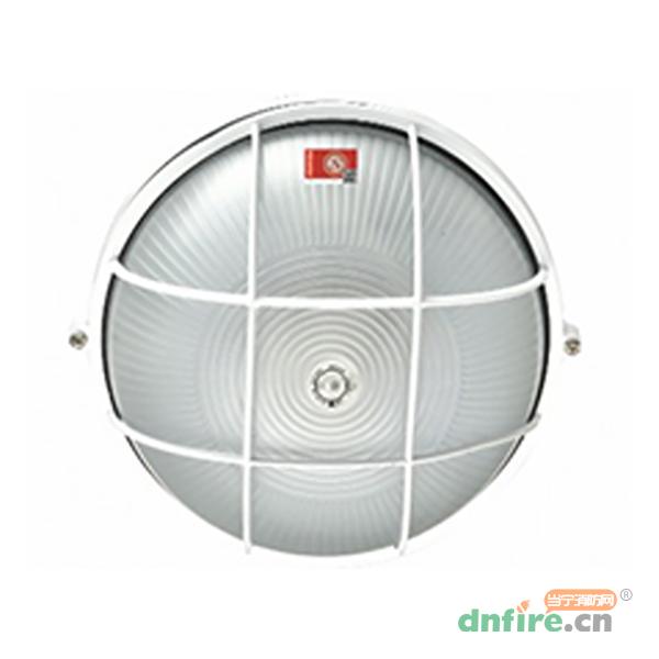 N-ZLZD-E20W1925自電自控應(yīng)急照明圓形三防燈