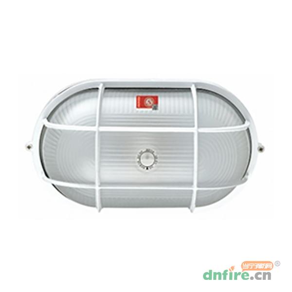 N-ZLZD-E20W1924自電自控應(yīng)急照明橢圓三防燈