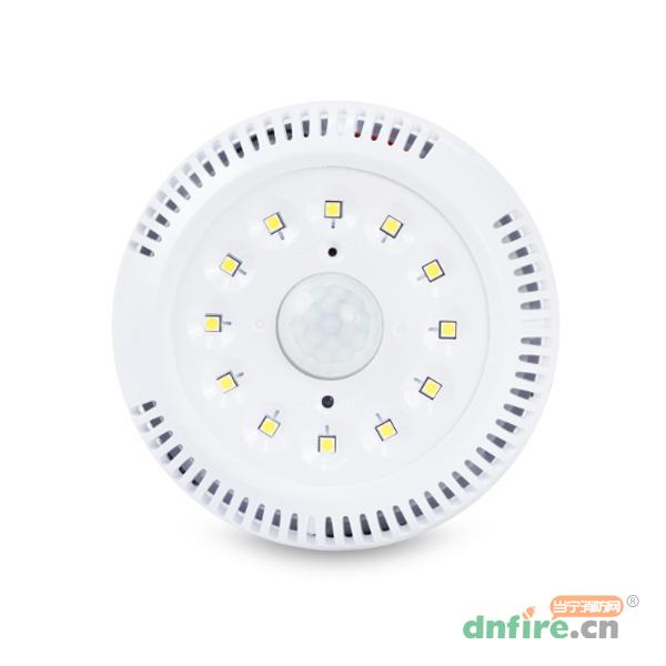 GD-ZFJC-E5W-622X5集中電源集中控制型消防應(yīng)急照明燈具,高德利華,消防應(yīng)急照明燈