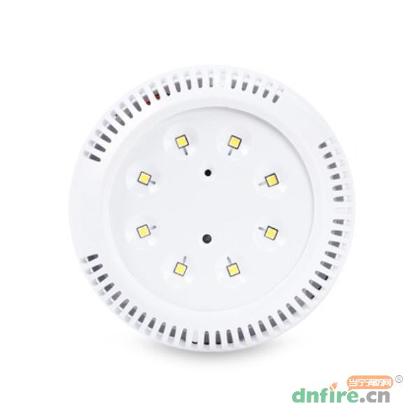 GD-ZFJC-E5W-623X5集中電源集中控制型消防應(yīng)急照明燈具,高德利華,消防應(yīng)急照明燈