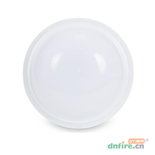 GD-ZFJC-E9W-613X9集中電源集中控制型消防應(yīng)急照明燈具,高德利華,消防應(yīng)急照明燈