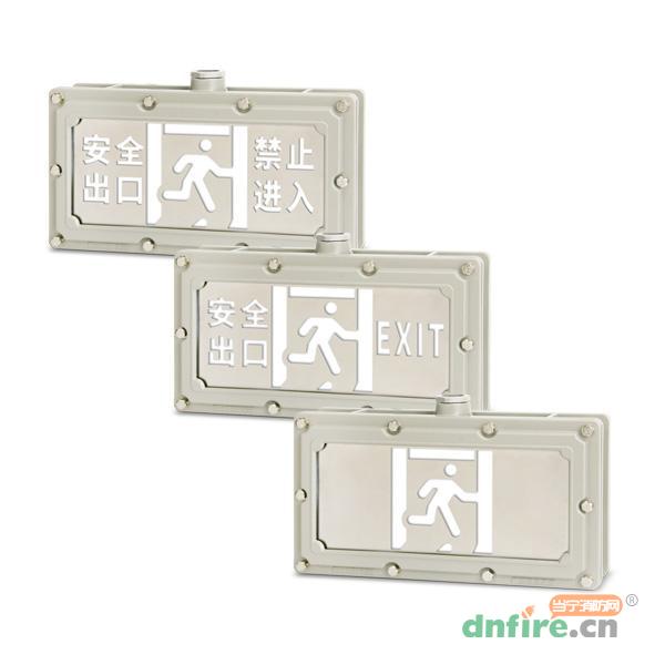 Z-BLJC-2LROEⅠ1W-2621自電集控防爆標志燈 雙面壁掛,樂工光電,消防應急疏散指示燈
