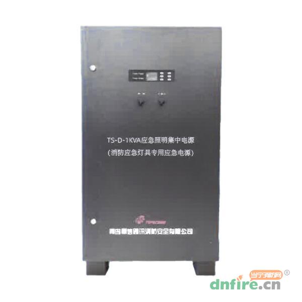 TS-D-1KVA消防應(yīng)急燈具專(zhuān)用應(yīng)急電源,鼎信消防,應(yīng)急照明集中電源