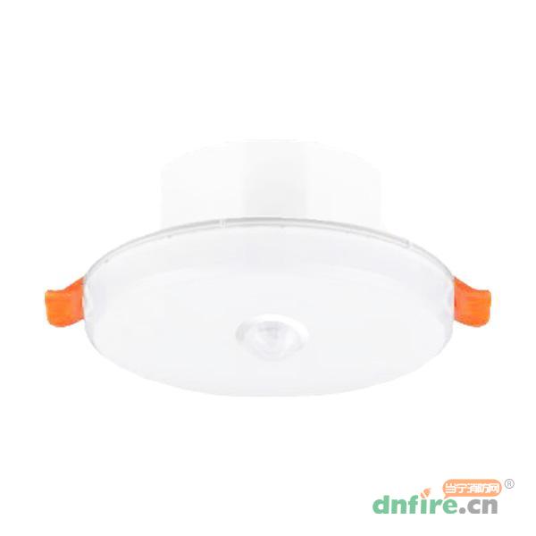 N-ZFJC-E8.1W8167集中電源集中控制型消防應(yīng)急照明燈具 6寸,拿斯特,消防應(yīng)急照明燈