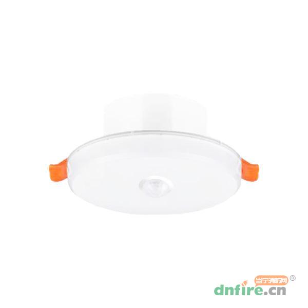N-ZFJC-E3W8187集中電源集中控制型消防應(yīng)急照明燈具 3寸