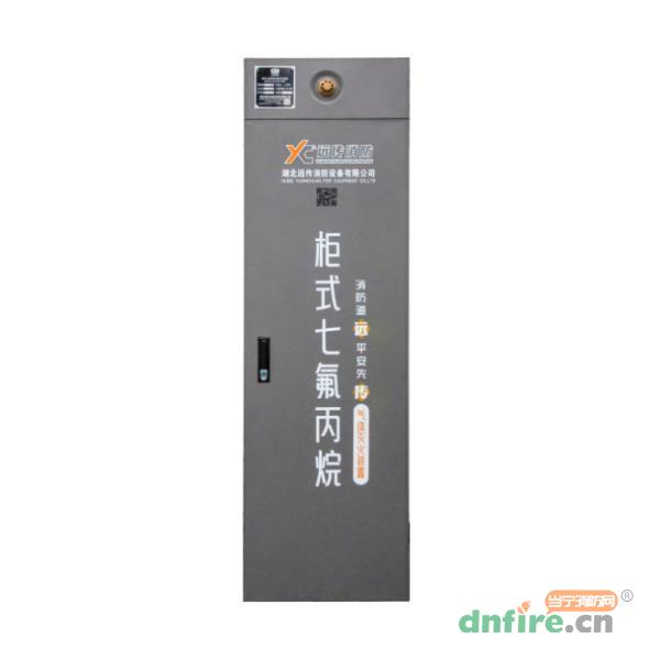 GQQ150/2.5-YC柜式七氟丙烷氣體滅火裝置,遠(yuǎn)傳消防,柜式七氟丙烷氣體滅火裝置