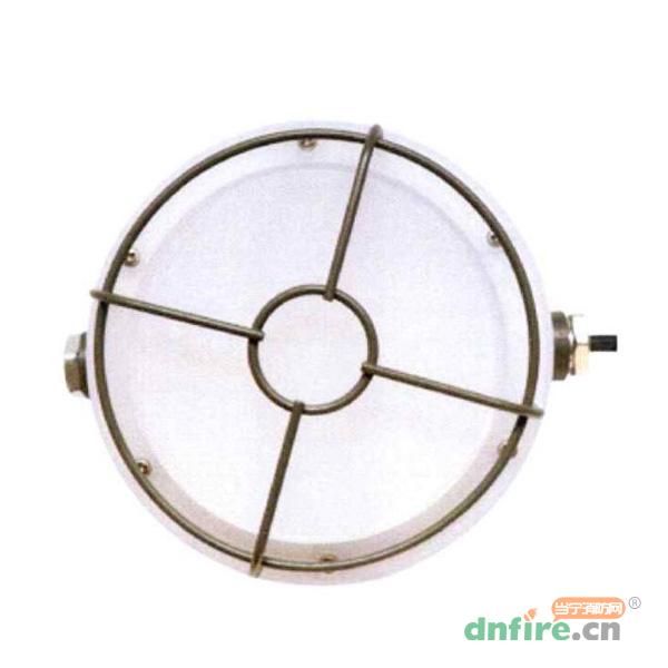 N-ZFZC-E12W-EX8550自帶電源集中控制型消防應(yīng)急照明燈具,拿斯特,消防應(yīng)急照明燈