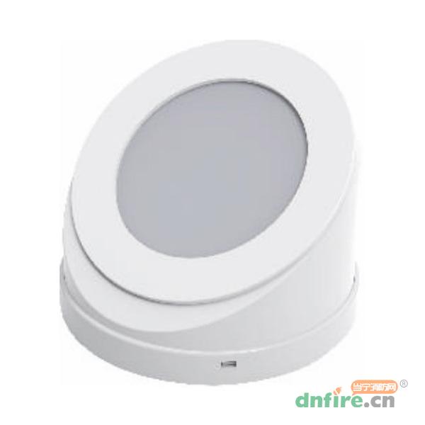 TD-ZFJC-E6W-L20集中電源集中控制型消防應(yīng)急照明燈具（A型）壁掛式,騰達(dá)防爆,消防應(yīng)急照明燈