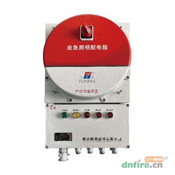 TD-PD-0.6KVA-Ex-BXM53自帶電源集中控制型應(yīng)急照明配電箱(A型)