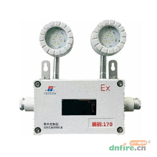 TD-ZFZC-E6W-Ex-TDJ51自帶電源集中控制型應(yīng)急照明燈具（A型）防爆型,騰達(dá)防爆,消防應(yīng)急照明燈