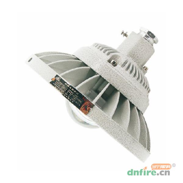 TD-ZFZC-E3W-Ex-ccd96自帶電源集中控制型應(yīng)急照明燈具（A型）防爆型,騰達(dá)防爆,消防應(yīng)急照明燈