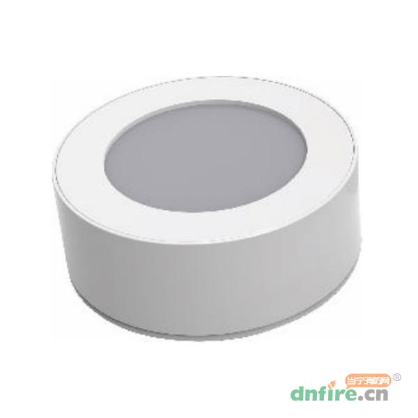 TD-ZFZC-E10W-L22自帶電源集中控制型消防應(yīng)急照明燈具（A型）吸頂式,騰達(dá)防爆,消防應(yīng)急照明燈