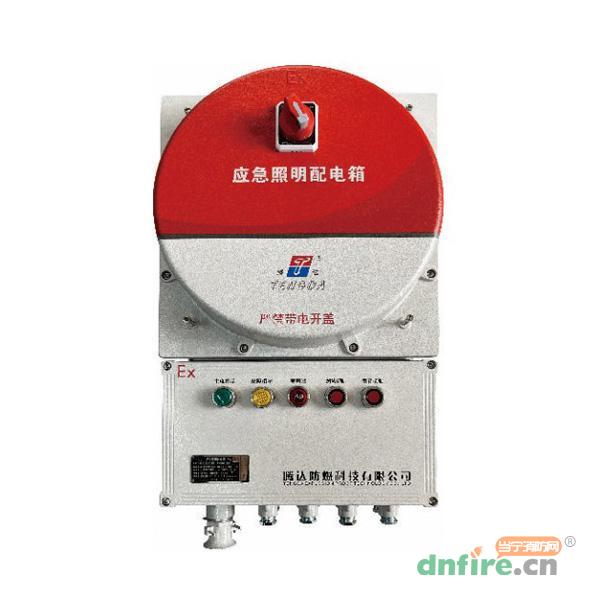 TD-PD-0.6KVA-Ex-BXM53自帶電源非集中控制型應(yīng)急照明配電箱