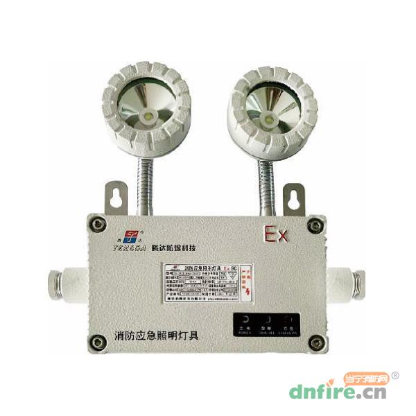 TD-ZFZD-E6W-Ex-TDJ51自帶電源非集中控制型消防應(yīng)急照明燈具,騰達(dá)防爆,消防應(yīng)急照明燈