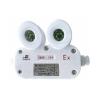 TD-ZFZC-E6W-SF-TDJ51自帶電源集中控制型應(yīng)急照明燈具（A型）三防燈,,