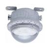 TD-ZFZC-E20W-SF-ccd96自帶電源集中控制型應(yīng)急照明燈具（A型）三防燈,,