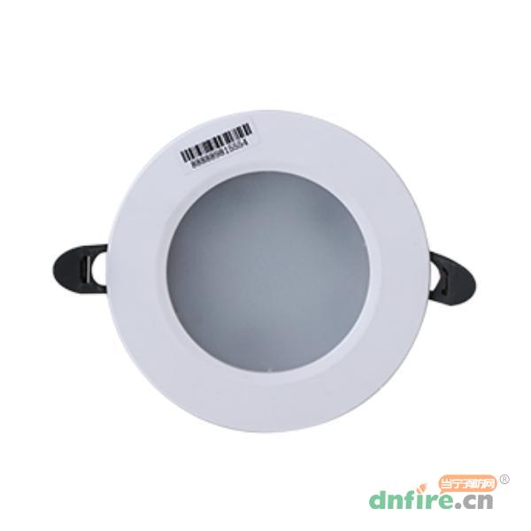 DH-ZFJC-E5W-CZ21集中電源集中控制型消防應(yīng)急照明燈具,大華,消防應(yīng)急照明燈