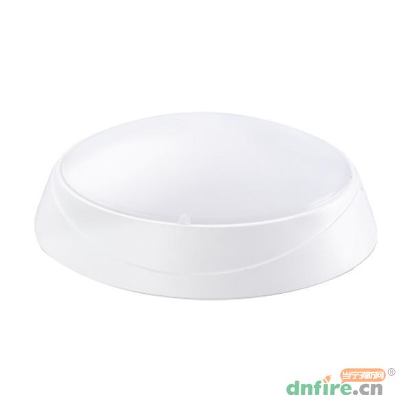 Z-ZFJC-E8W-1225A1集中電源集中控制型消防應(yīng)急照明燈具 吸頂式