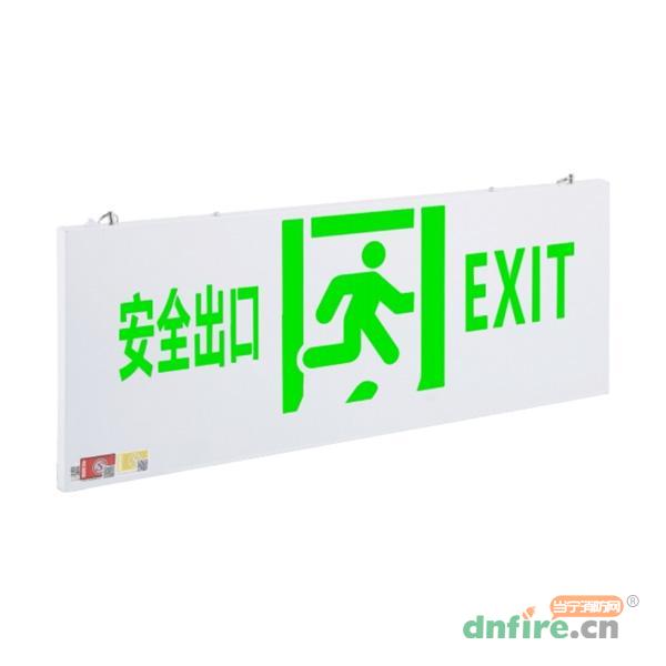 DJ-BLJC-III1LROE3W-01J-TS大標(biāo)志燈具,東君,消防應(yīng)急疏散指示燈