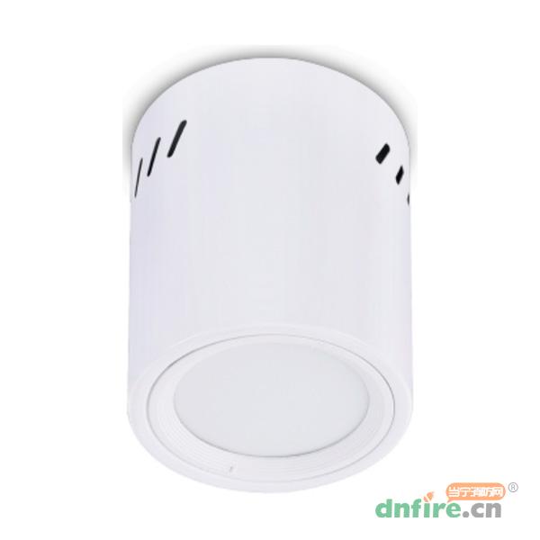 DJ-ZLJC-E15W-05L集電集控明裝筒燈
