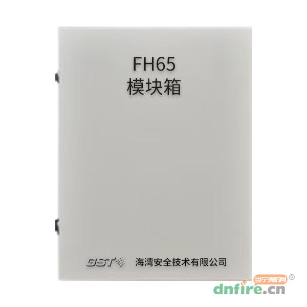 FH65模塊箱,海灣GST,模塊箱