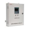 BR-D-0.6KVA-A3047應(yīng)急照明集中電源,博朗耐,應(yīng)急照明集中電源