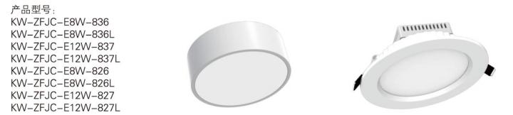 中科知創(chuàng)集中電源大功率照明燈具