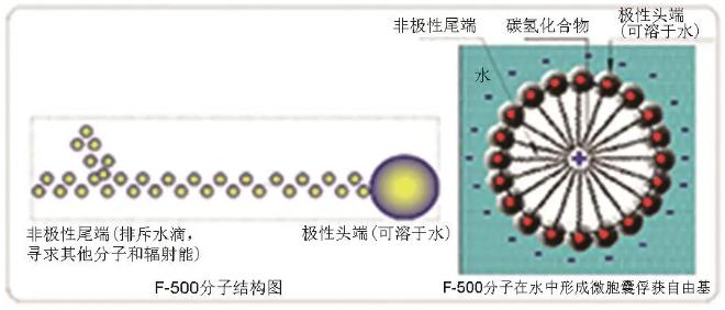 F-500分子結(jié)構(gòu)、球形微胞圖